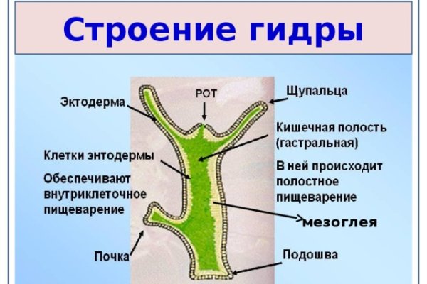 Кракен даркнет что известно
