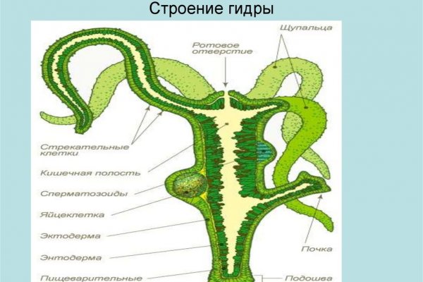 Как зайти на кракен в тор браузере